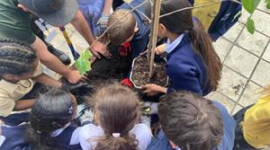 Kids planting a tree - seen from above